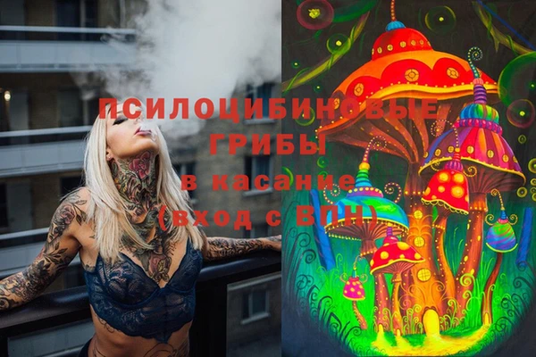 каннабис Абаза